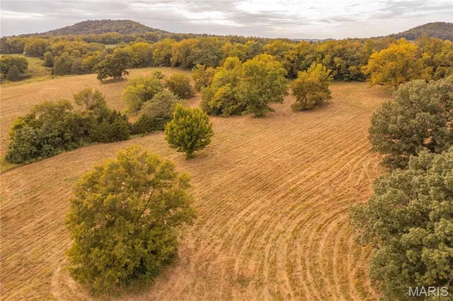 $693,000 | 255 Gnade Road, Elsberry, MO 63343