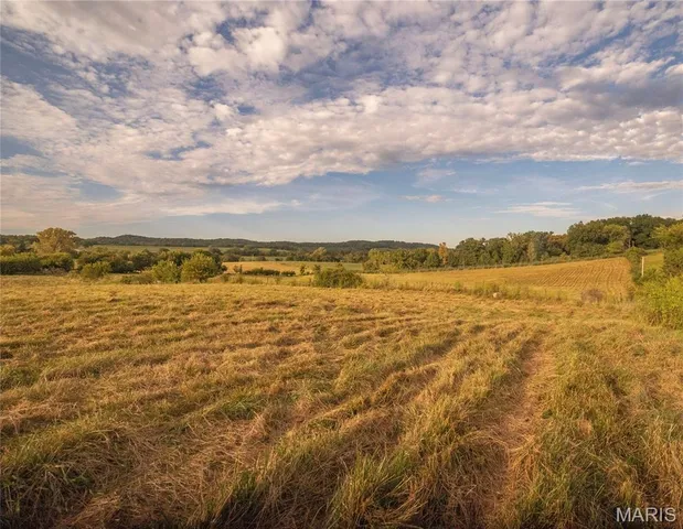 $693,000 | 255 Gnade Road, Elsberry, MO 63343