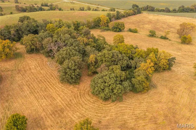 $693,000 | 255 Gnade Road, Elsberry, MO 63343