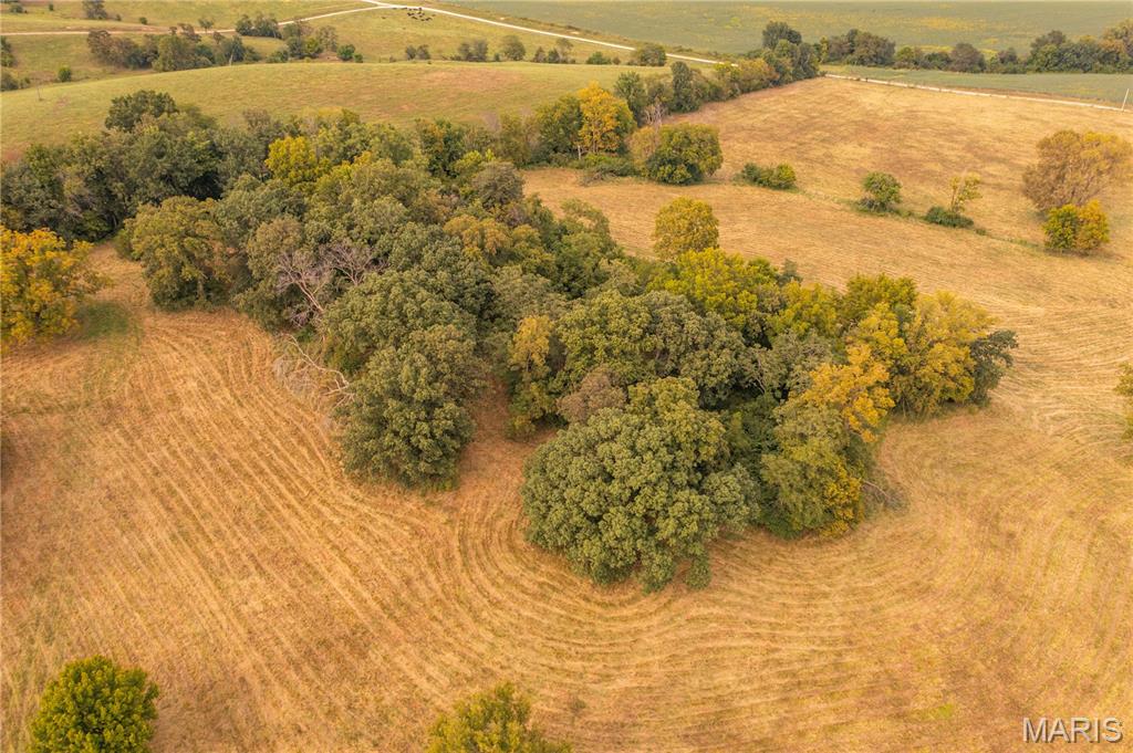 255 Gnade Road Elsberry, MO 63343 - Photo 21 of 24