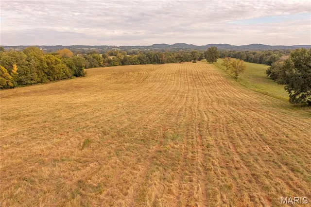 $693,000 | 255 Gnade Road, Elsberry, MO 63343