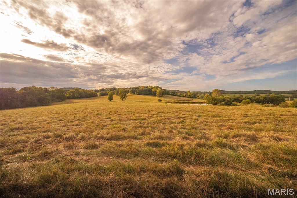 255 Gnade Road Elsberry, MO 63343 - Photo 3 of 24