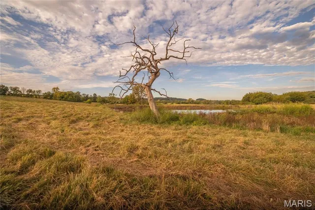 $693,000 | 255 Gnade Road, Elsberry, MO 63343