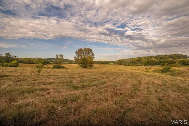 $693,000 | 255 Gnade Road, Elsberry, MO 63343