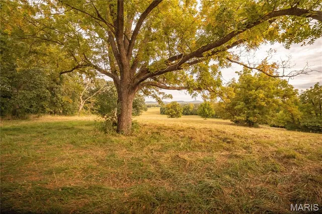 $693,000 | 255 Gnade Road, Elsberry, MO 63343