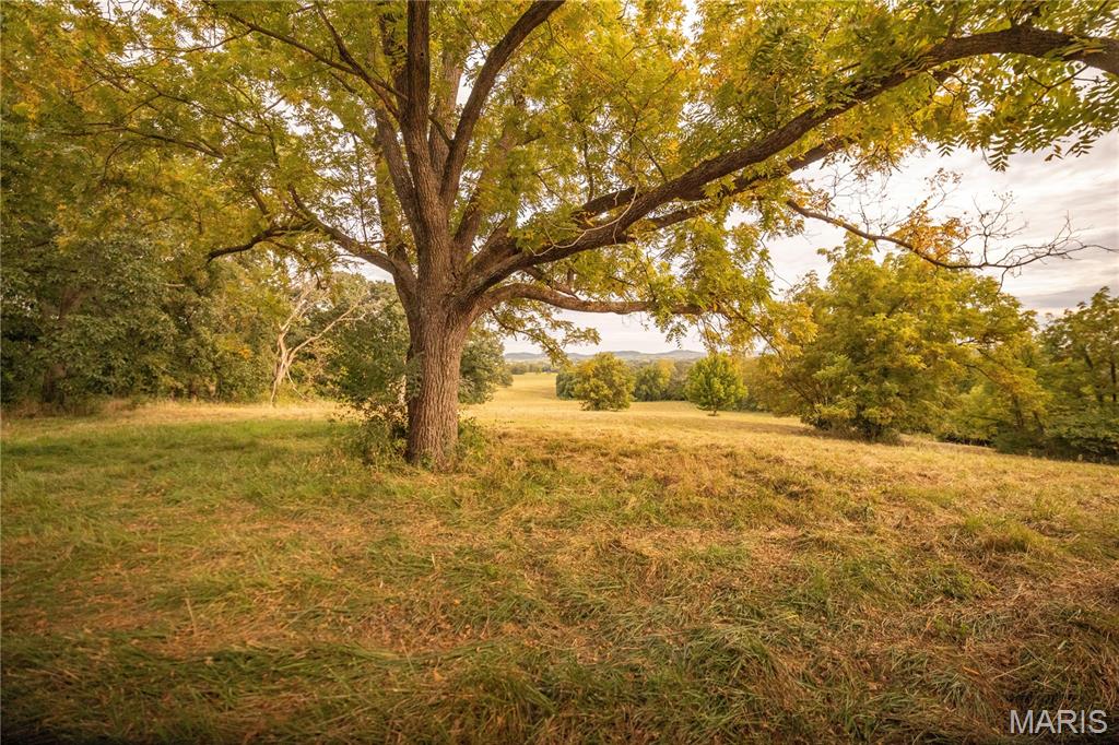 255 Gnade Road Elsberry, MO 63343 - Photo 7 of 24