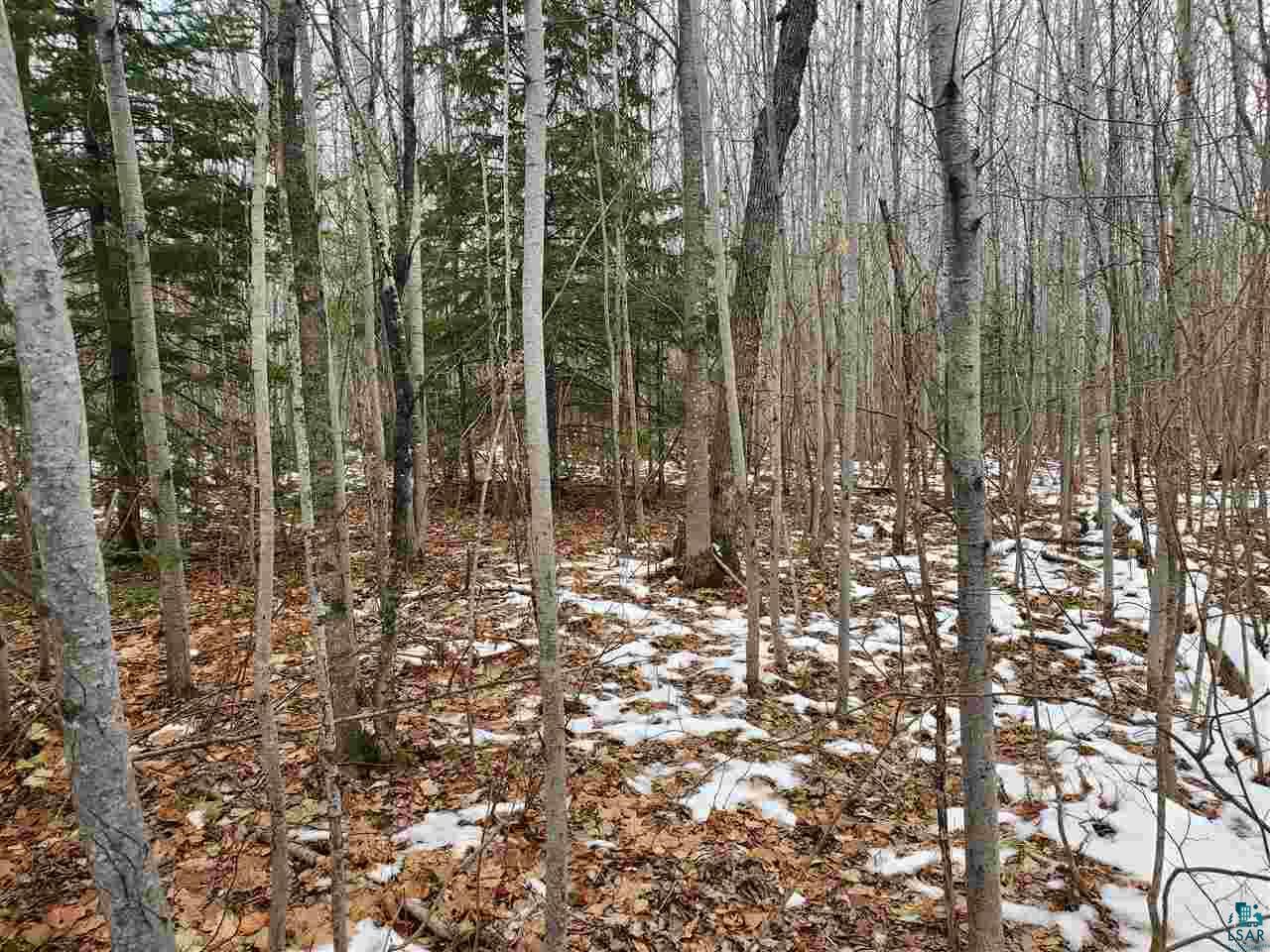 904-xx Holt Road Bayfield, WI 54814 - Photo 12 of 18 Gallery Image 12
