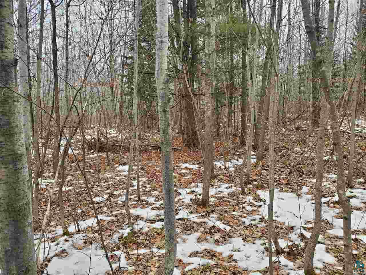 904-xx Holt Road Bayfield, WI 54814 - Photo 13 of 18 Gallery Image 13