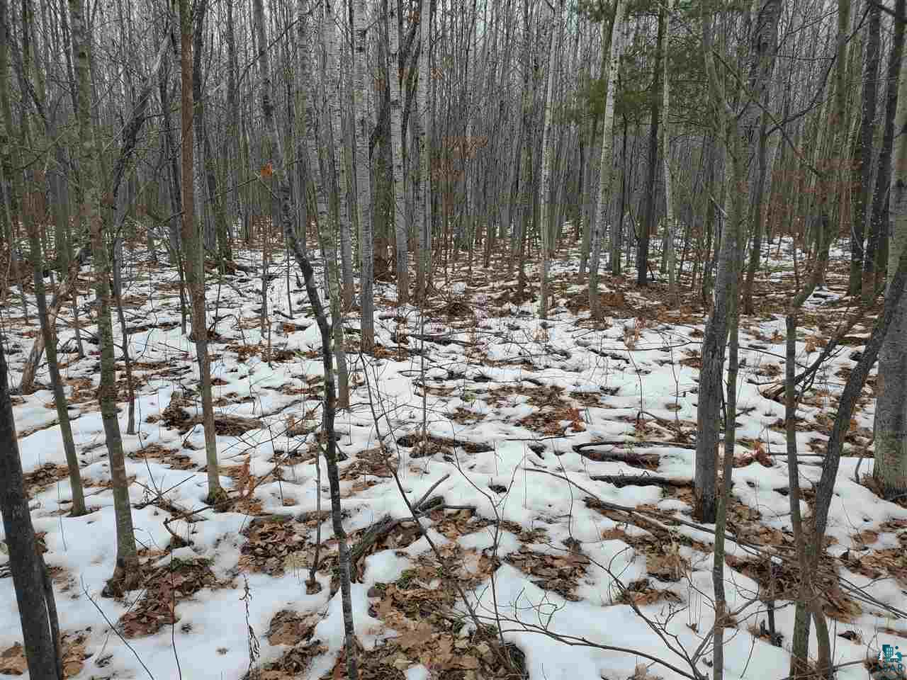 904-xx Holt Road Bayfield, WI 54814 - Photo 14 of 18 Gallery Image 14