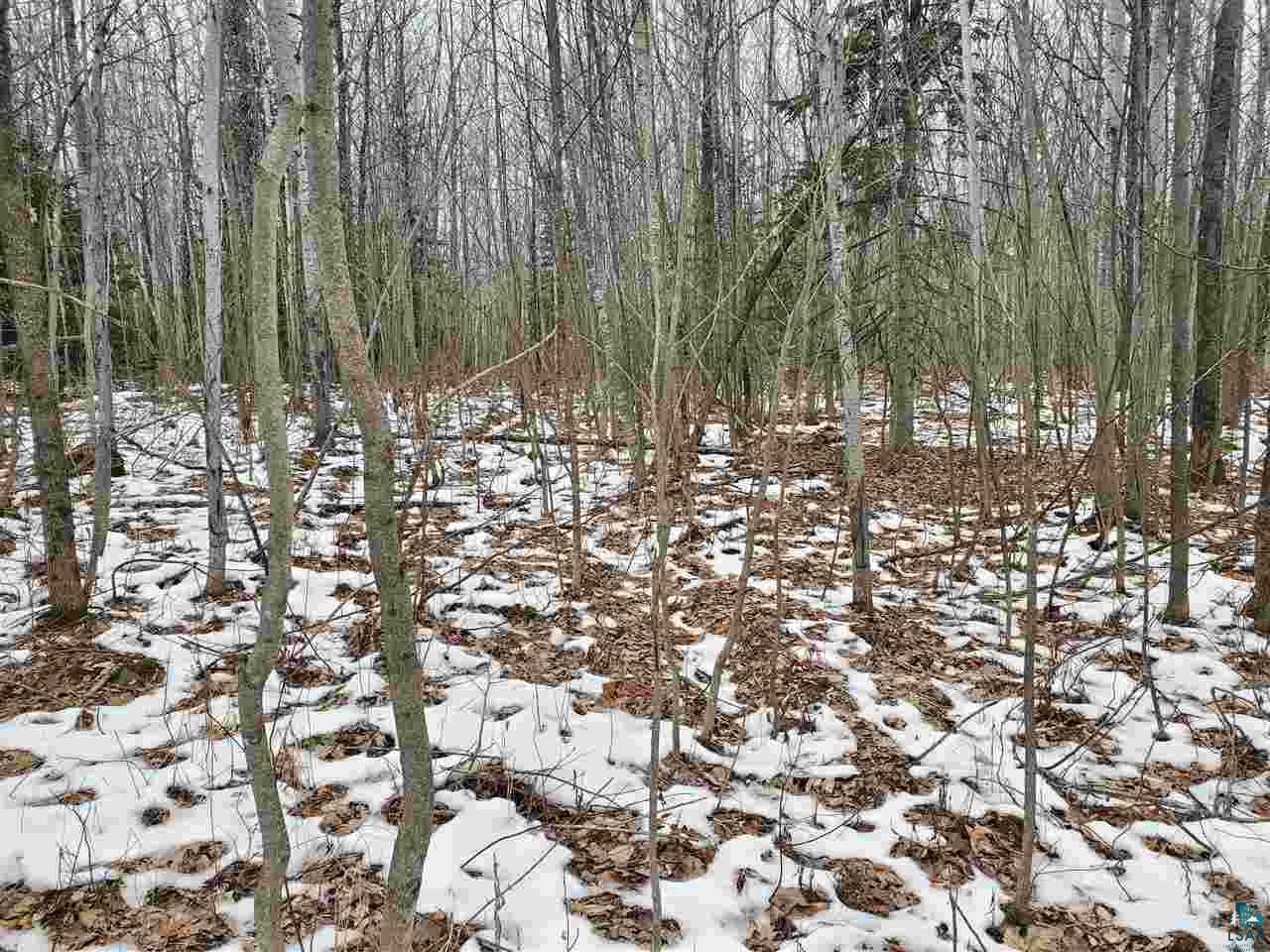 904-xx Holt Road Bayfield, WI 54814 - Photo 15 of 18 Gallery Image 15