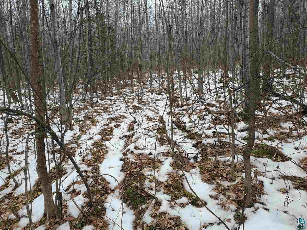 904-xx Holt Road Bayfield, WI 54814 - Photo 16 of 18 Gallery Image 16