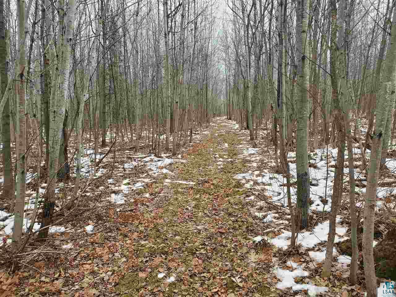 904-xx Holt Road Bayfield, WI 54814 - Photo 2 of 18 Gallery Image 2