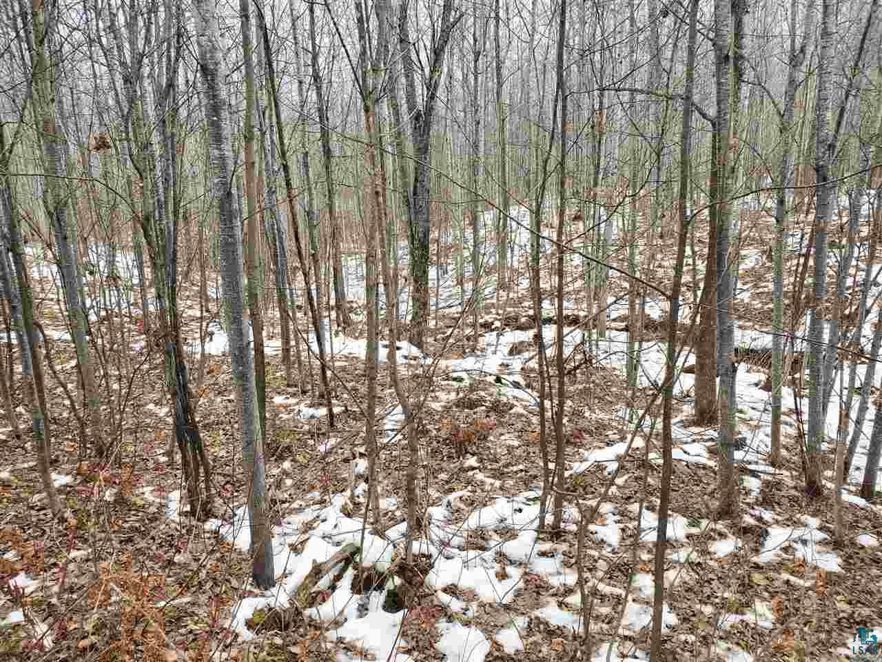 904-xx Holt Road Bayfield, WI 54814 - Photo 3 of 18 Gallery Image 3