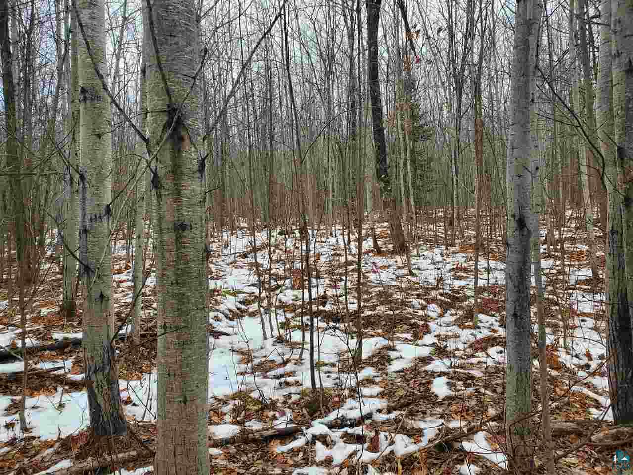 904-xx Holt Road Bayfield, WI 54814 - Photo 7 of 18 Gallery Image 7