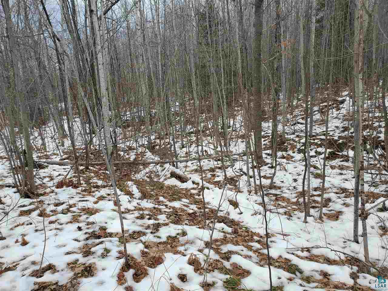 904-xx Holt Road Bayfield, WI 54814 - Photo 8 of 18 Gallery Image 8