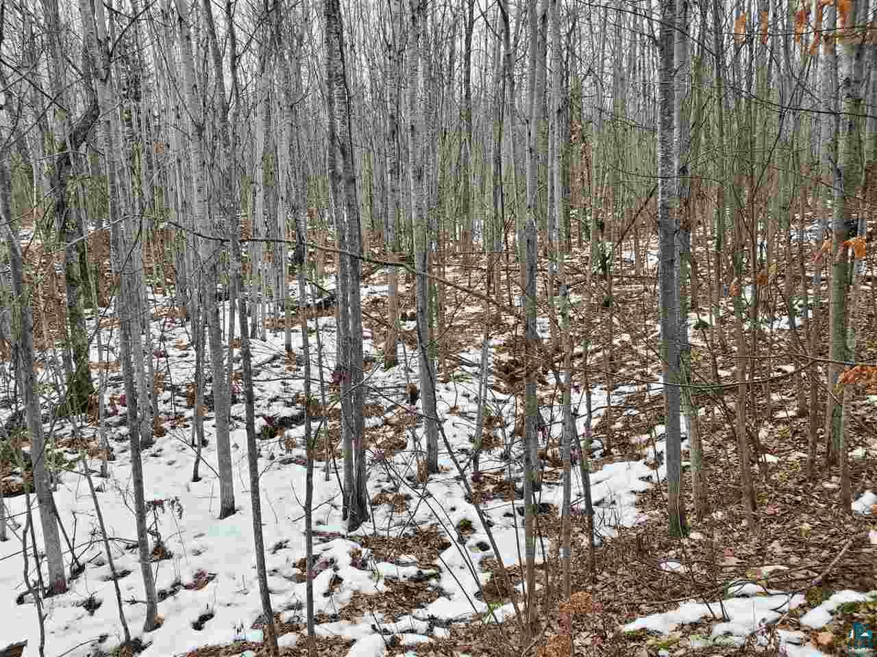 904-xx Holt Road Bayfield, WI 54814 - Photo 9 of 18 Gallery Image 9