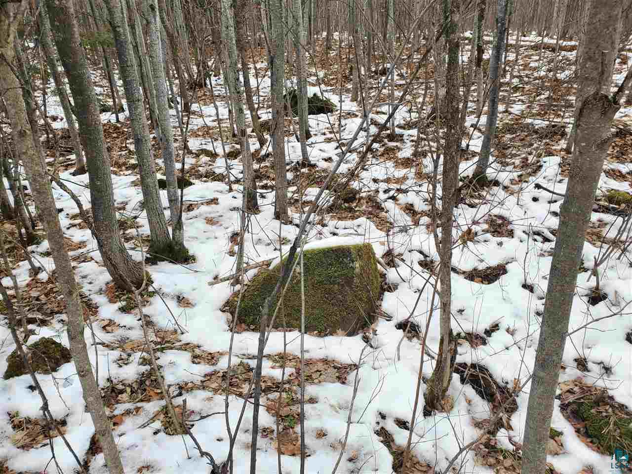 904-xx Holt Road Bayfield, WI 54814 - Photo 10 of 18 Gallery Image 10