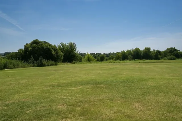 a view of a field with an trees in the background