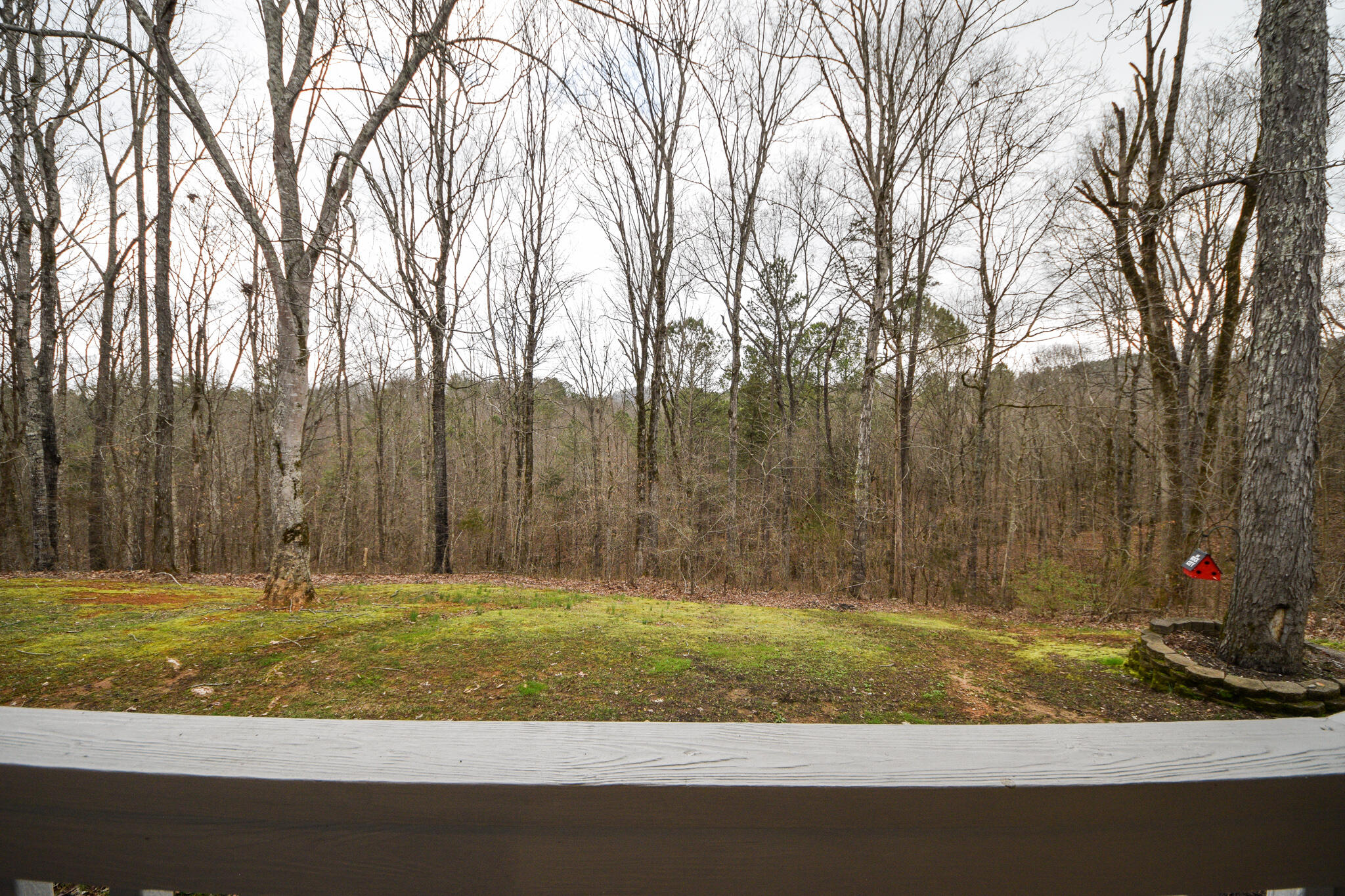 262 Deer Ridge Trail Charleston, TN 37310 - Photo 37 of 39 DSC_9724