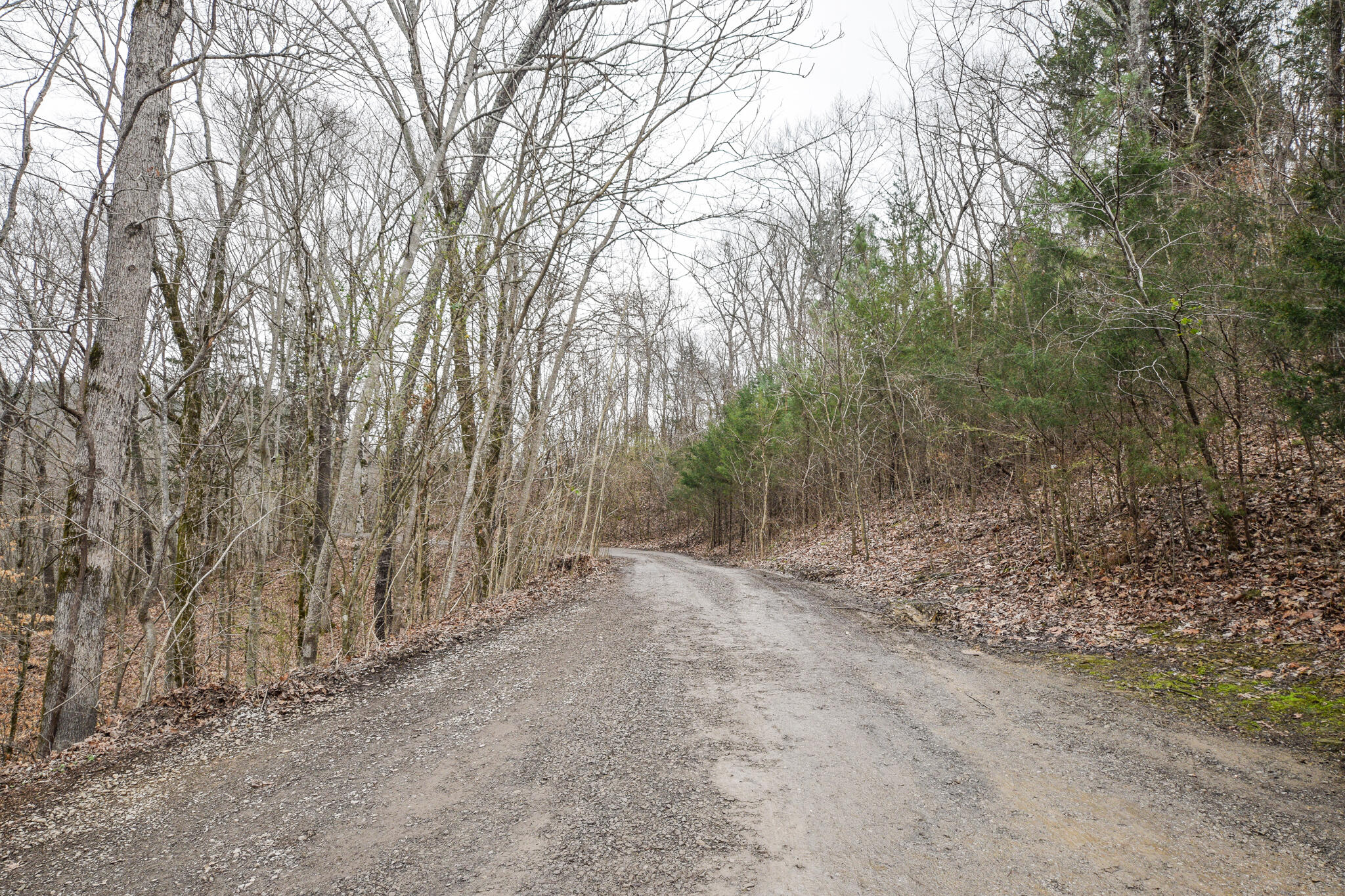 262 Deer Ridge Trail Charleston, TN 37310 - Photo 38 of 39 DSC_9808