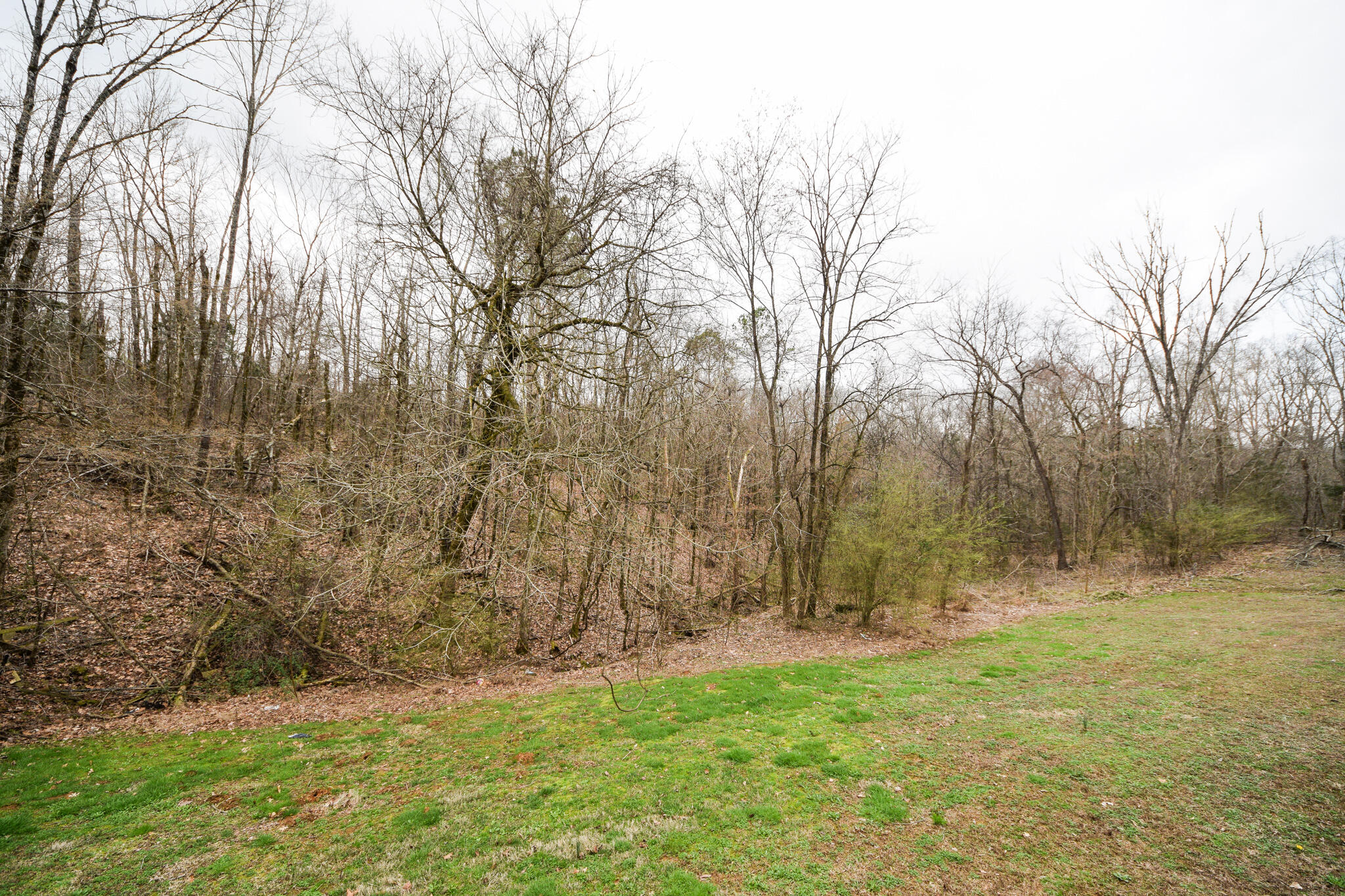 262 Deer Ridge Trail Charleston, TN 37310 - Photo 39 of 39 DSC_9802