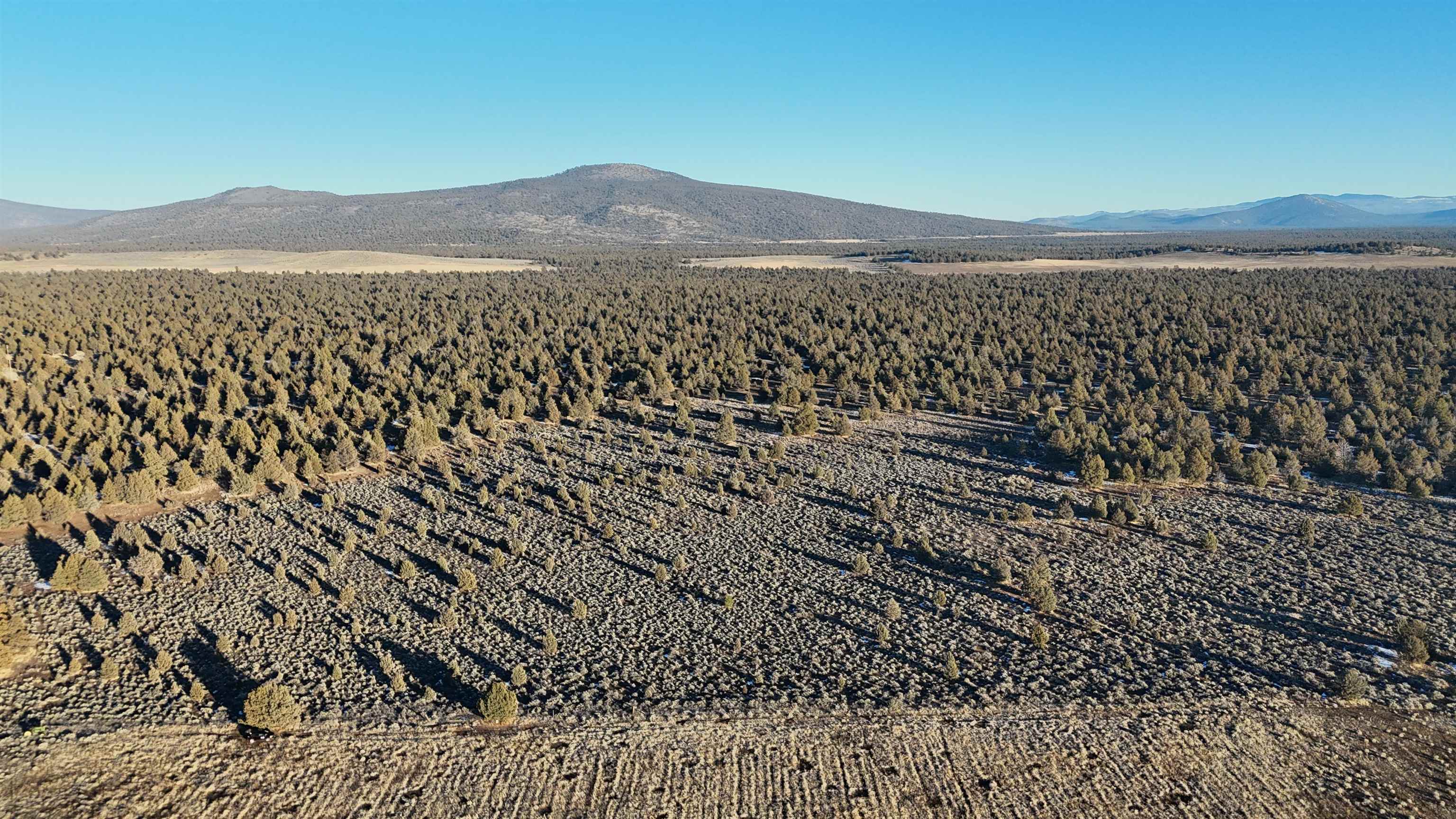 Xx Xx Re Rock Road Macdoel, CA 96058 - Photo 3 of 18 Gallery Image 3