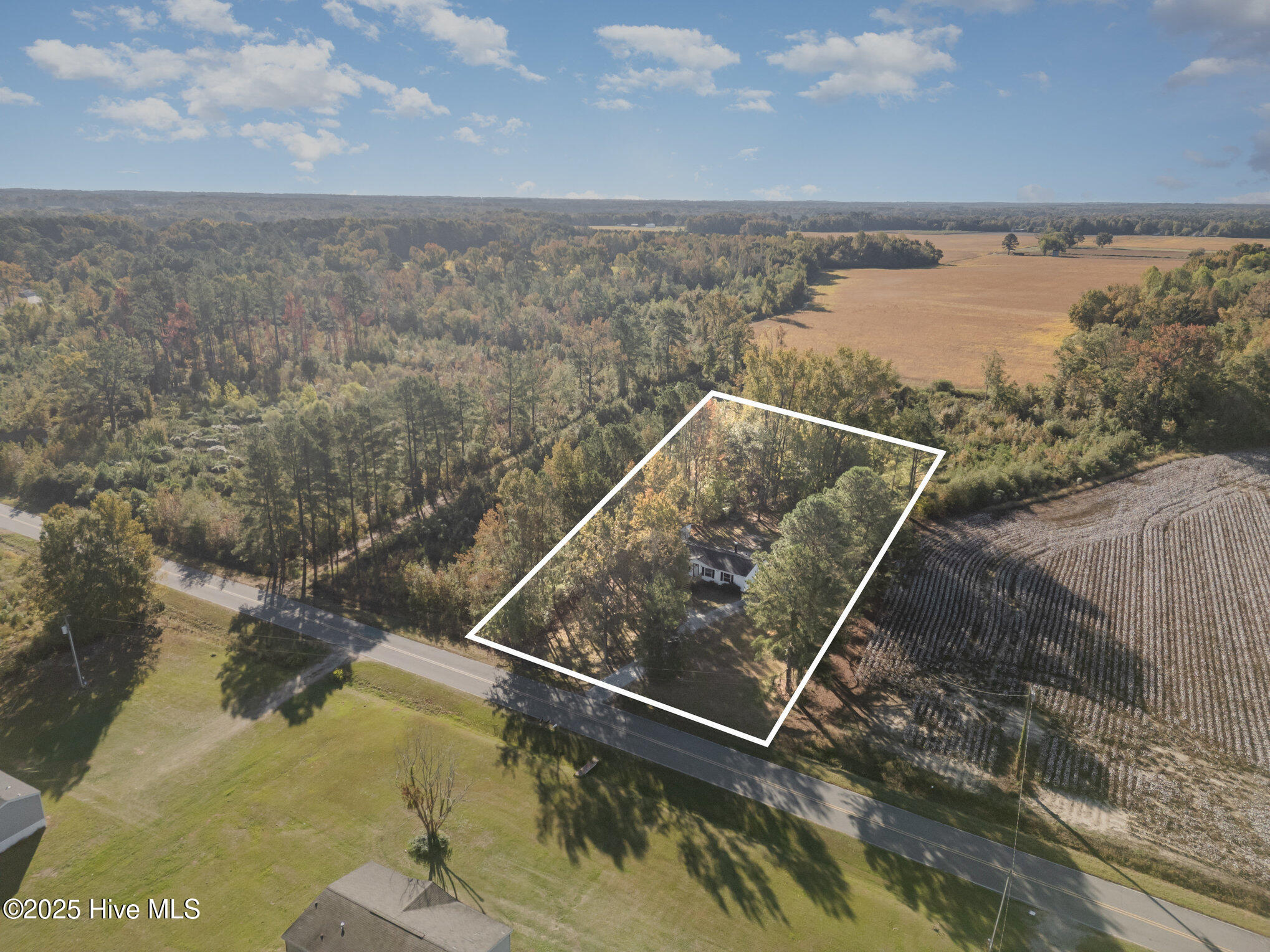 768 Hales Road Kenly, NC 27542 - Photo 23 of 25 023_4-edit-edit-2_267
