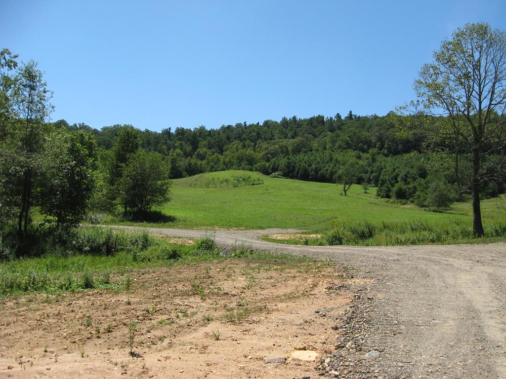 Tbd Blue Ridge Parkway, Unit 152 Fancy Gap, VA 24328 - Photo 12 of 39 Gallery Image 12