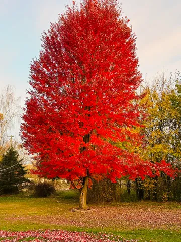 $414,900 | 4055 Mathews Road, Spring Arbor, MI 49283