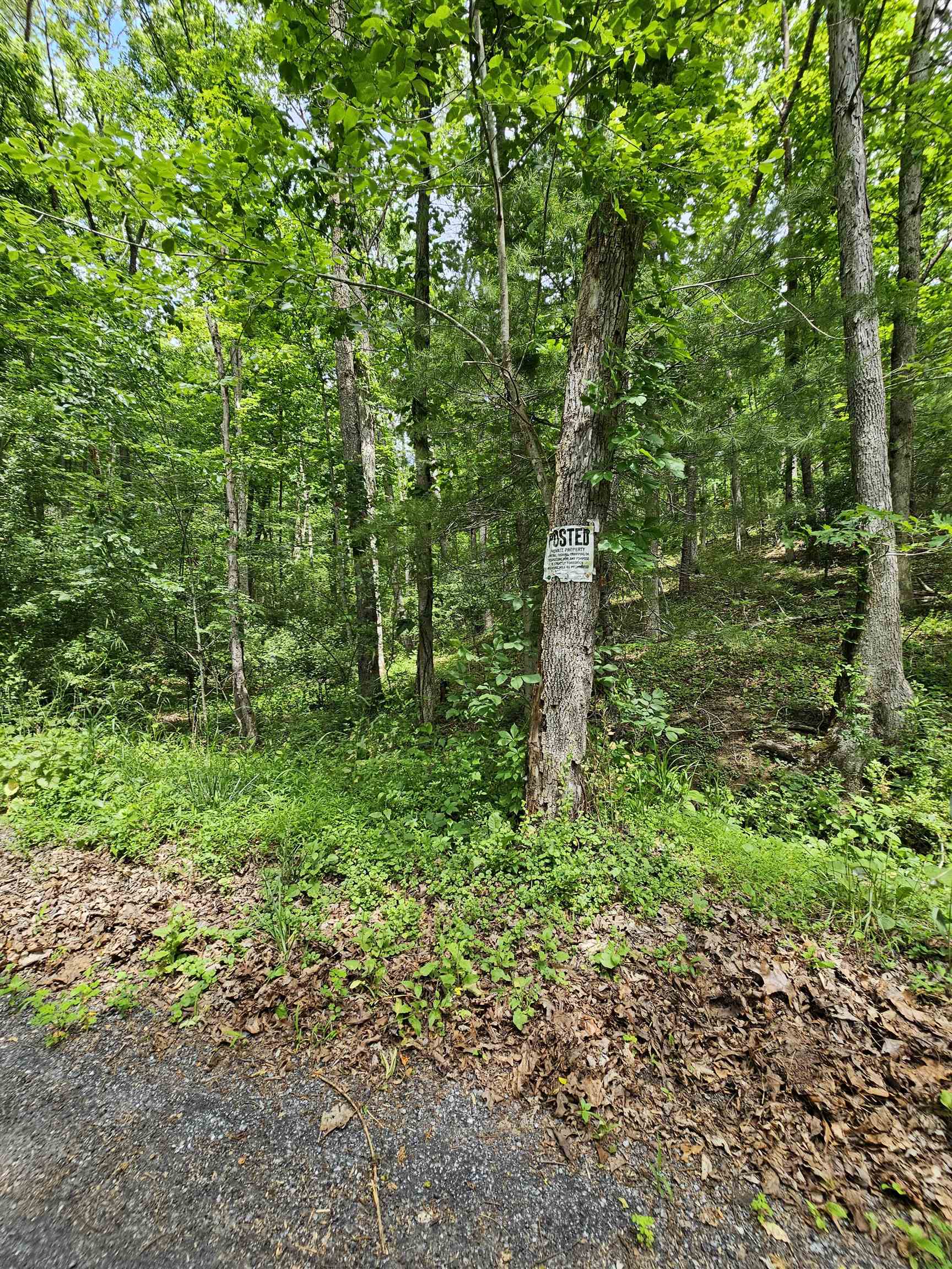 2105 Coles Mountain Road Covington, VA 24426 - Photo 54 of 66 Bath County side