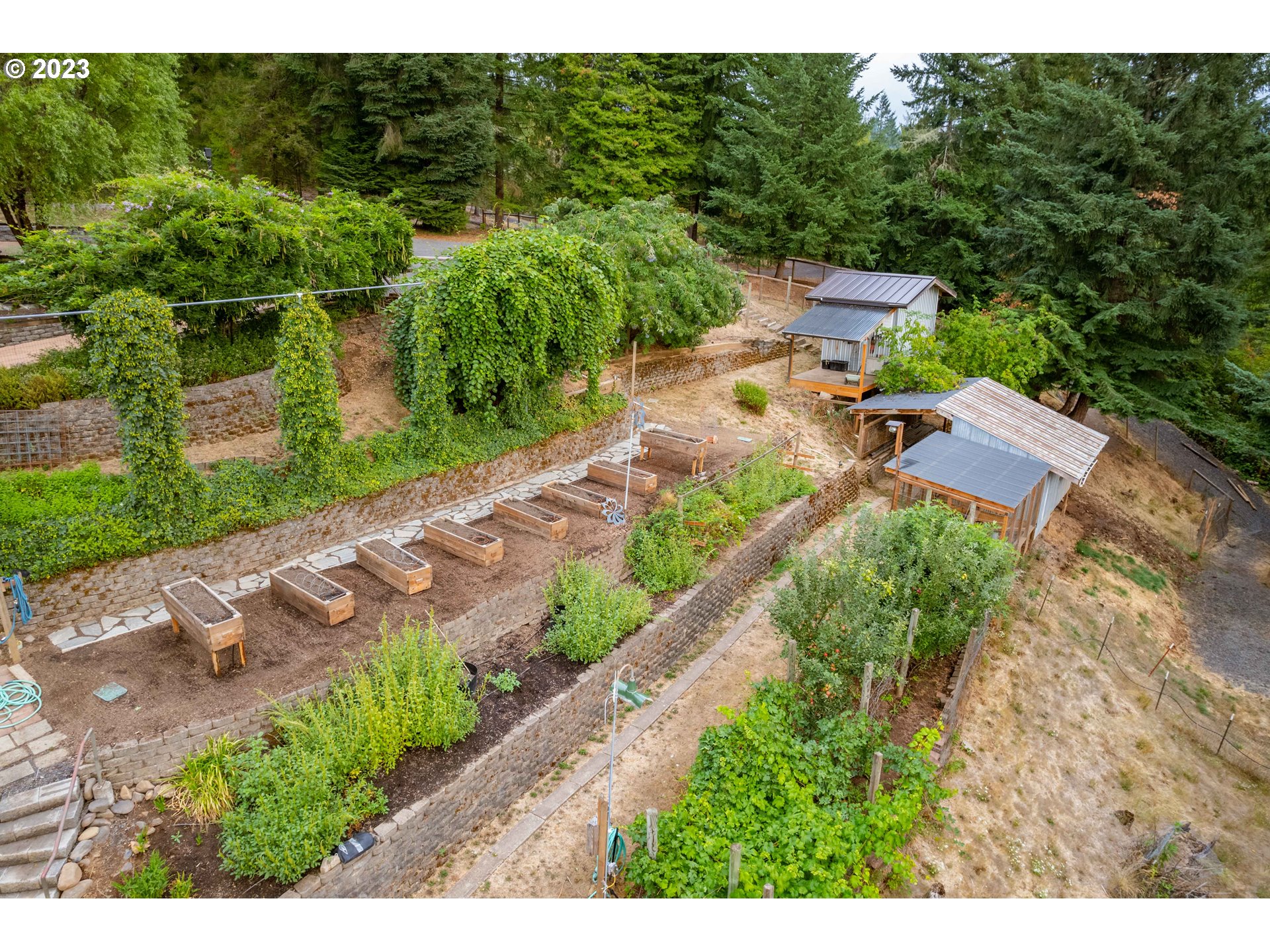 39350 Eagles Rest Road Dexter, OR 97431 - Photo 39 of 42 a view of a garden with plants