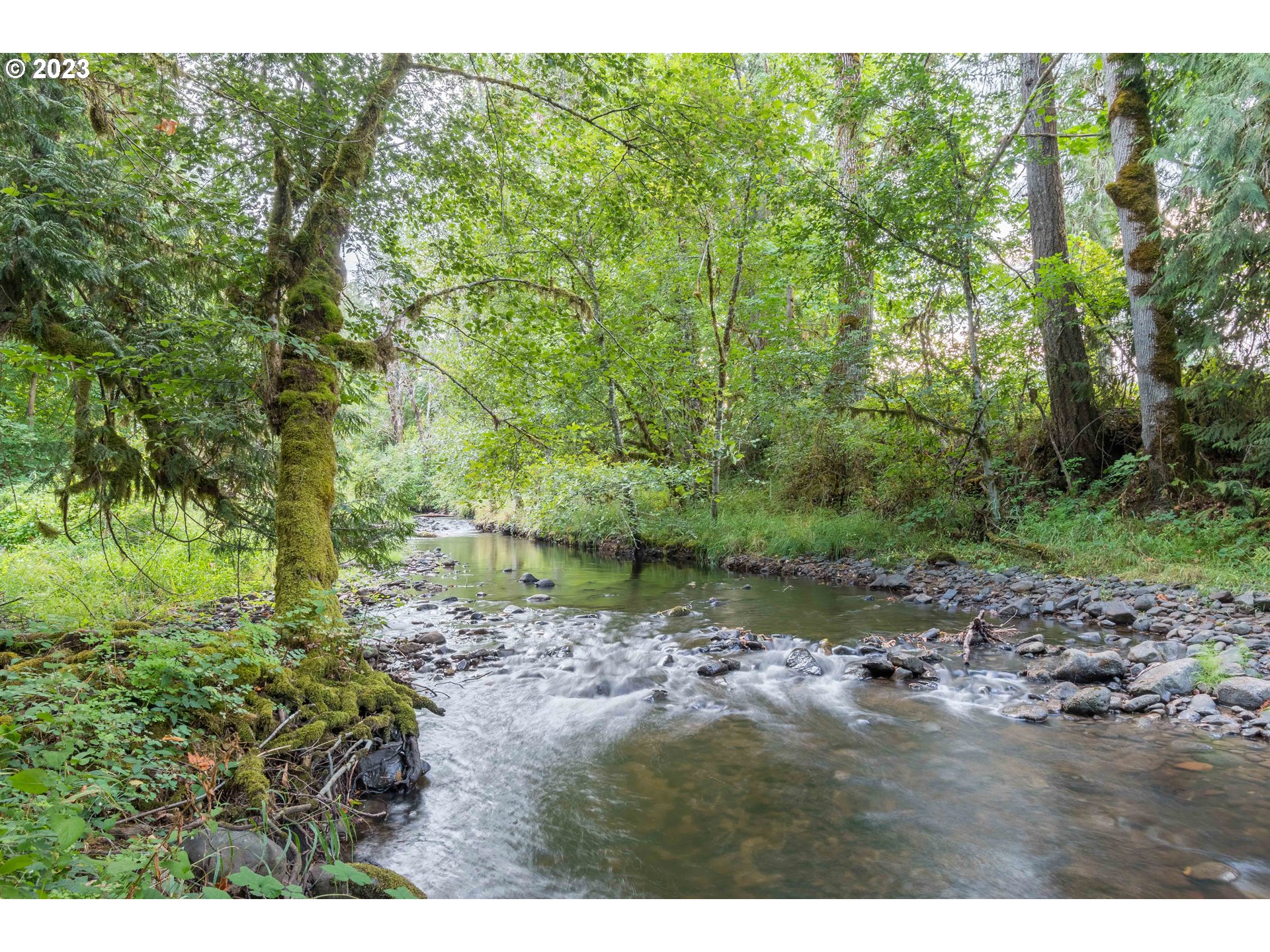 39350 Eagles Rest Road Dexter, OR 97431 - Photo 40 of 42 a backyard of a house with lots of green space