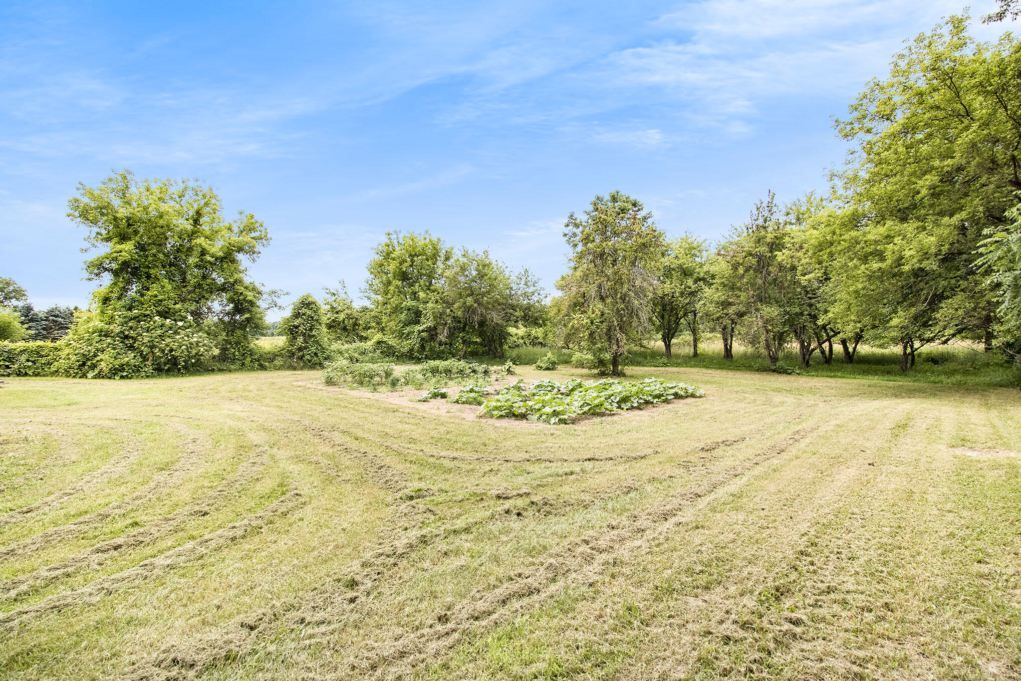 9520 Bunkerhill Road Jackson, MI 49201 - Photo 52 of 62 IMG_6750