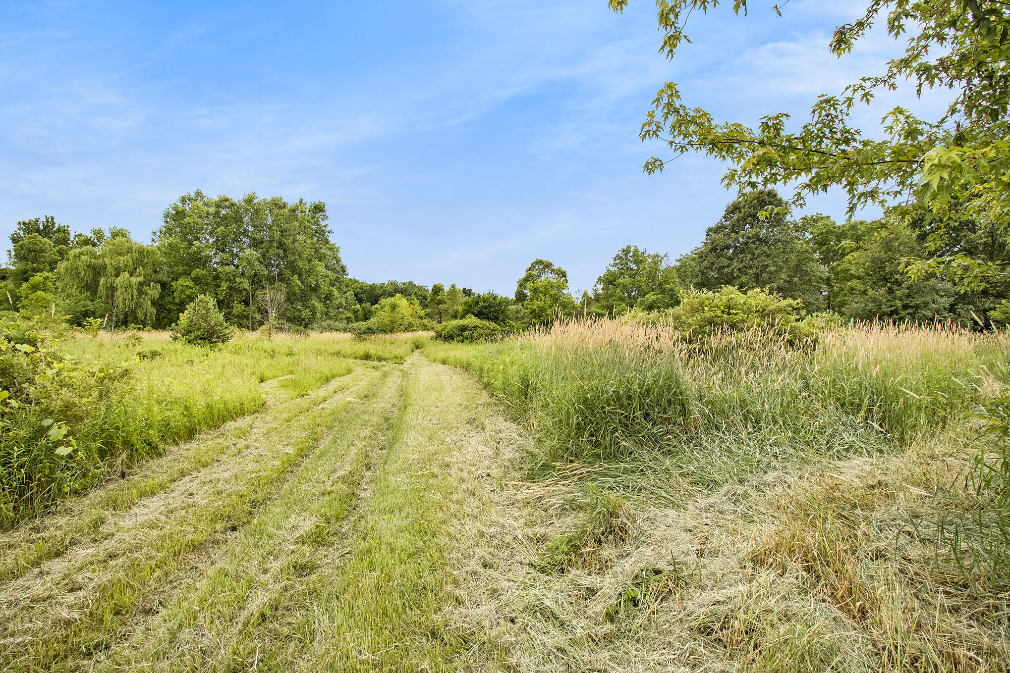 9520 Bunkerhill Road Jackson, MI 49201 - Photo 53 of 62 IMG_6751