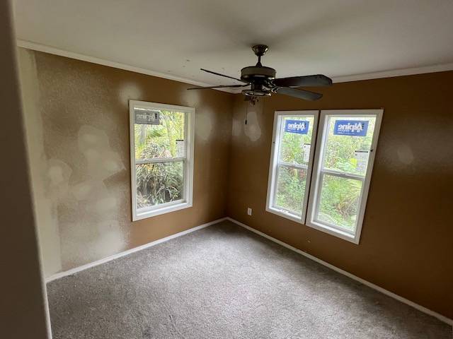 14-823 Seaview Road Pahoa, HI 96778 - Photo 12 of 17 a view of an empty room with a window