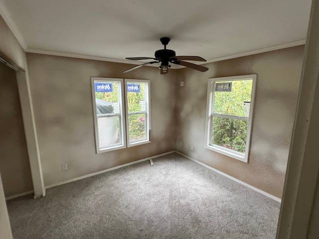 14-823 Seaview Road Pahoa, HI 96778 - Photo 9 of 17 a view of an empty room with a window