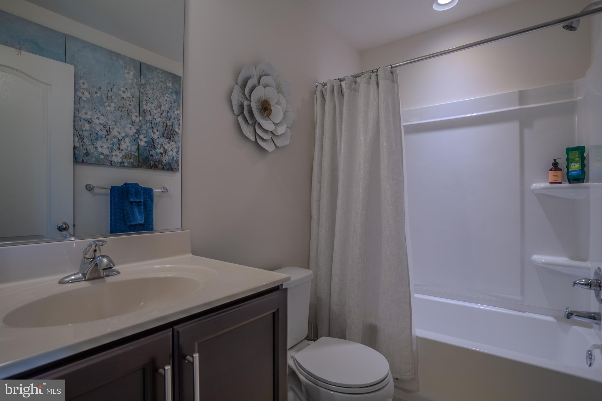 35 Landis Court Falling Waters, WV 25419 - Photo 39 of 64 a bathroom with a sink a toilet and shower