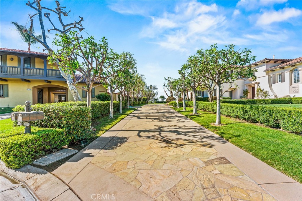 11765 Riehl Avenue Tustin, CA 92782 - Photo 10 of 53 a view of a yard with plants and large trees