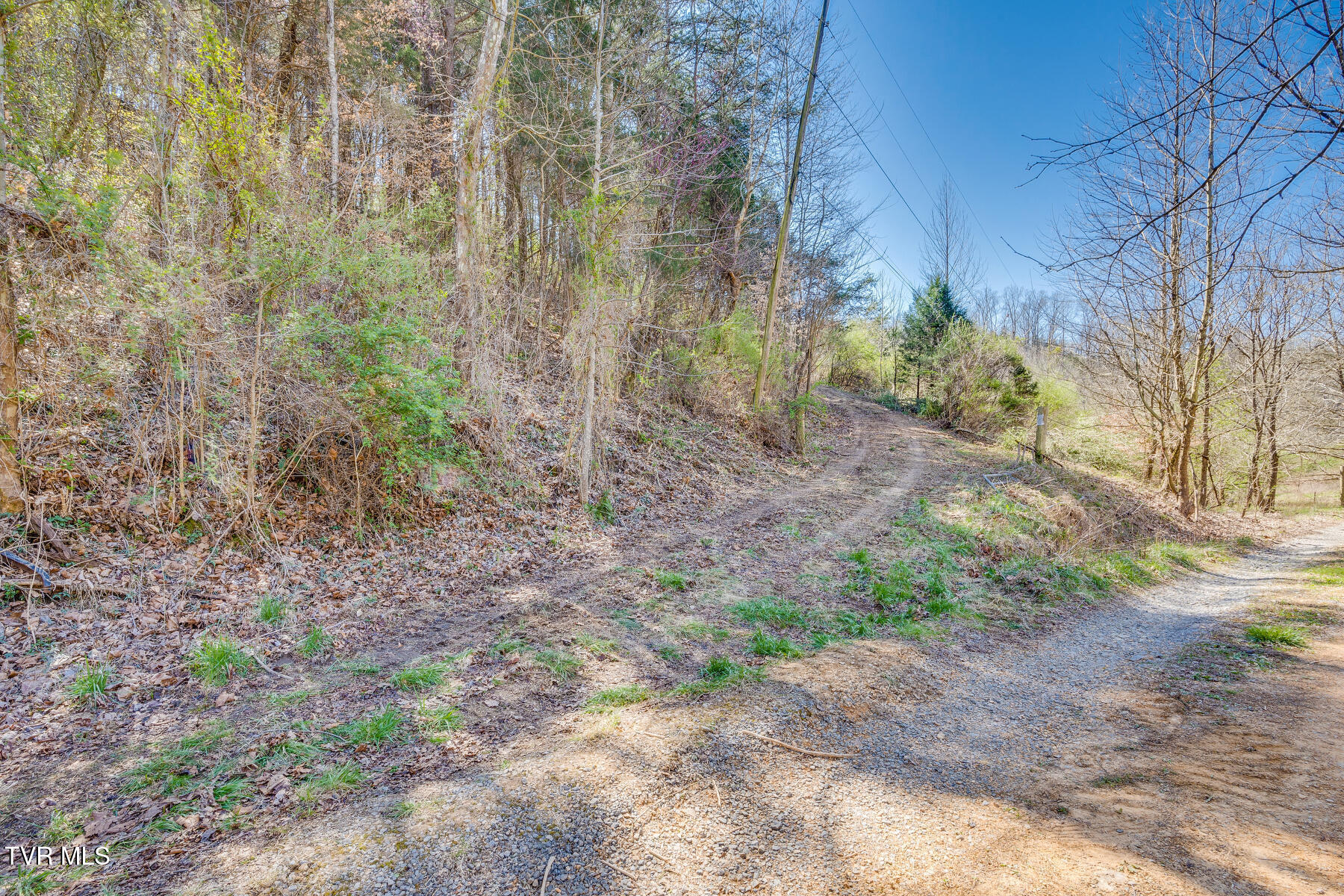 Tbd Ivy Valley Road Gate City, VA 24251 - Photo 3 of 12 20230331160001308757000000-o