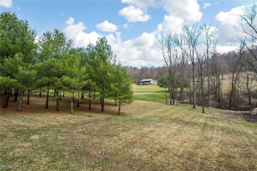 9273 Mulberry Road Mount Perry, OH 43760 - Photo 10 of 49