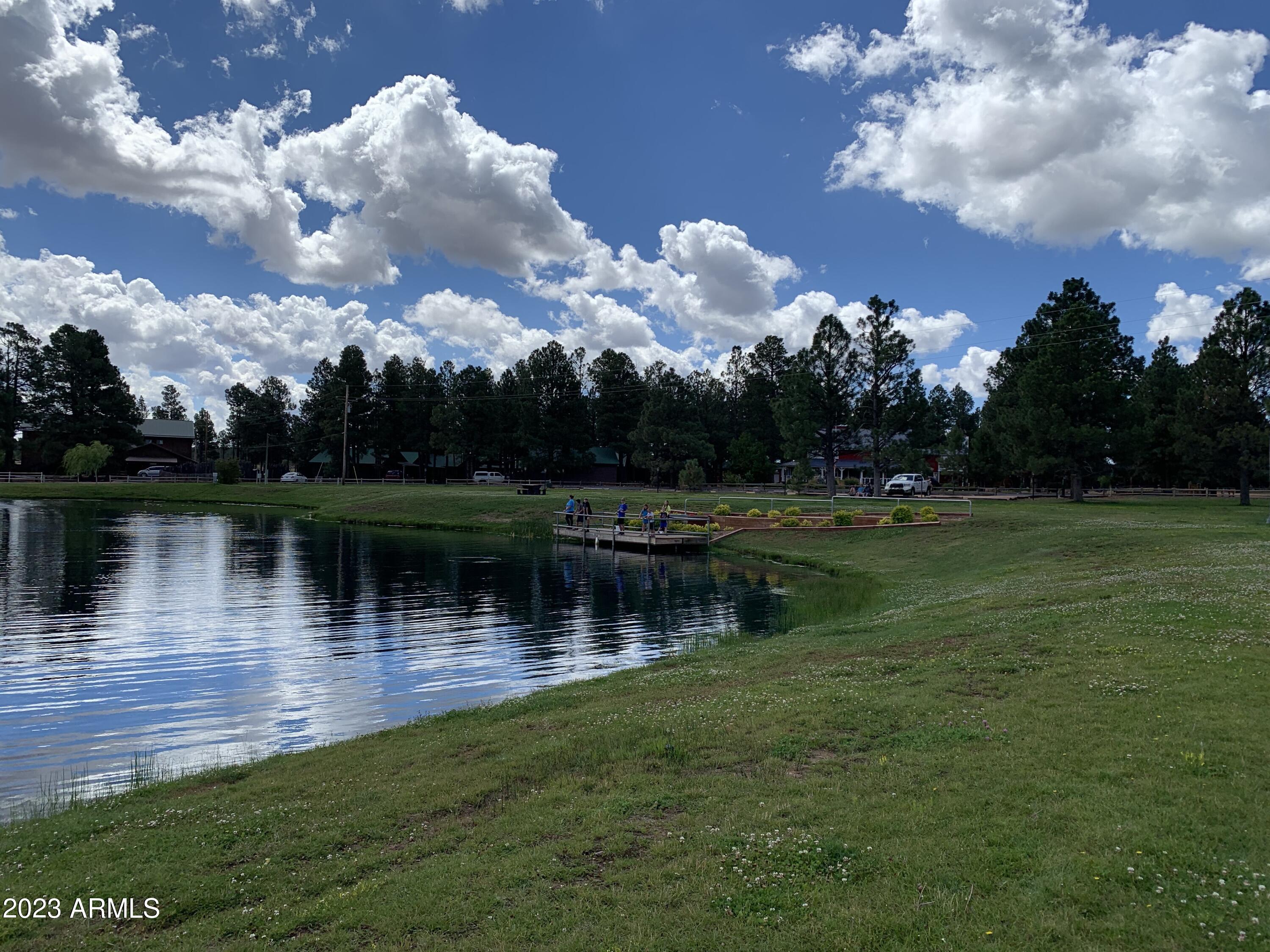 2718 High Pine Loop Overgaard, AZ 85933 - Photo 5 of 16 IMG_6217