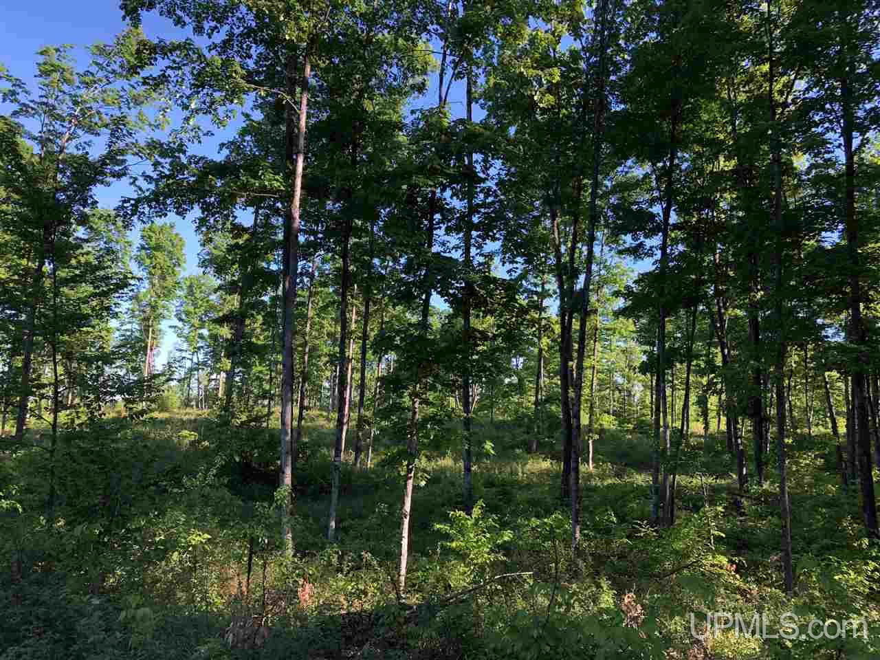 2353 Co Rd 442 Rapid River, MI 49878 - Photo 12 of 20