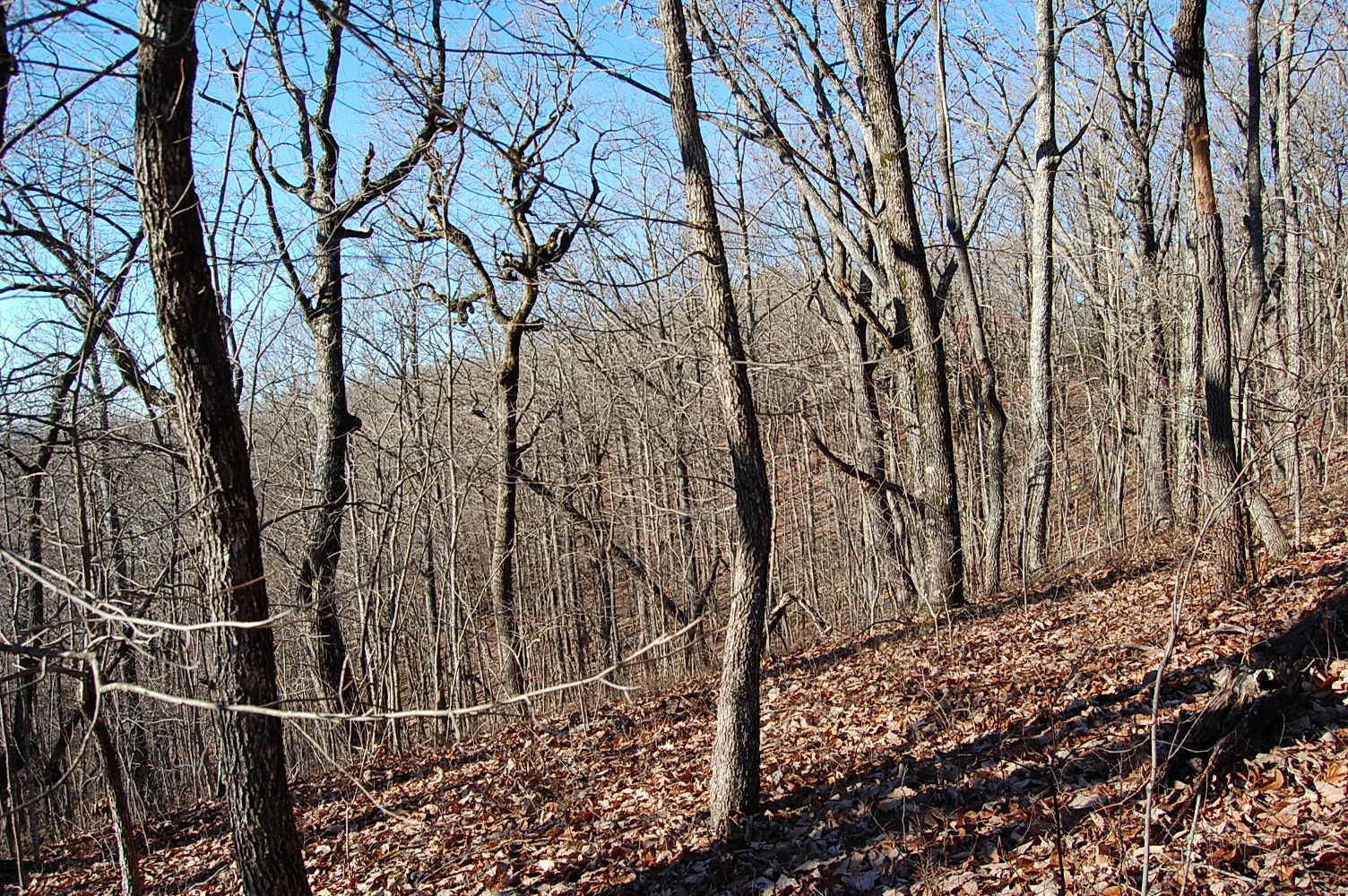 12 Wolf Pen Road Dunlap, TN 37327 - Photo 20 of 23