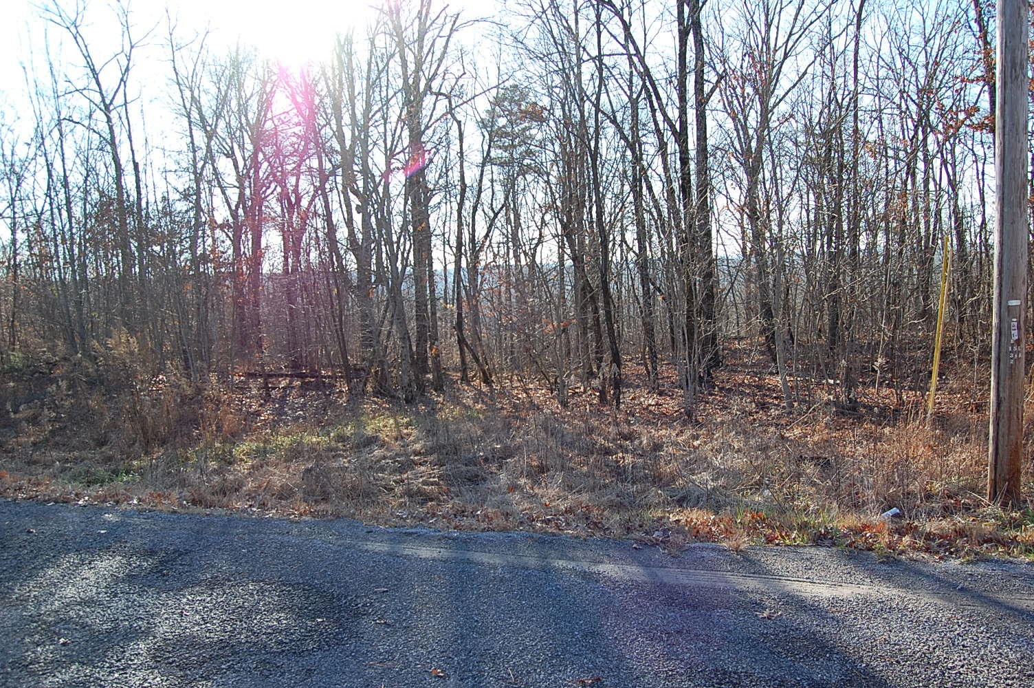 12 Wolf Pen Road Dunlap, TN 37327 - Photo 3 of 23