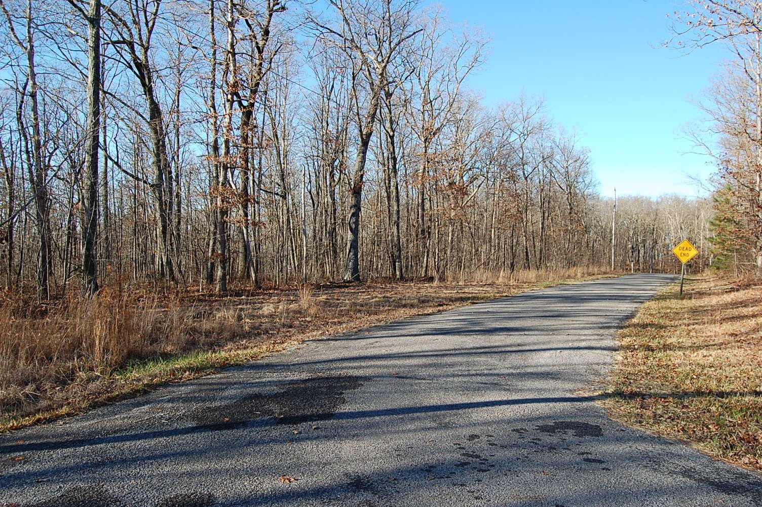12 Wolf Pen Road Dunlap, TN 37327 - Photo 5 of 23