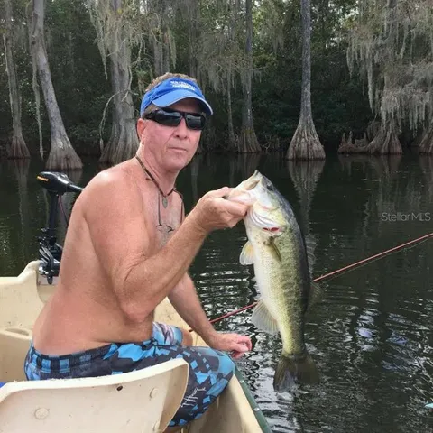 a backyard of a house with large trees and plants