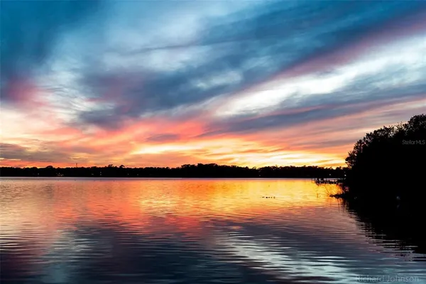 a view of house with garden space and swimming pool