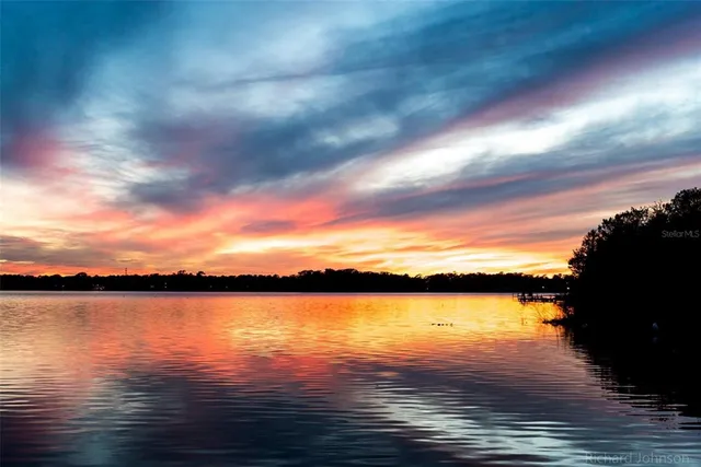 a view of house with garden space and swimming pool