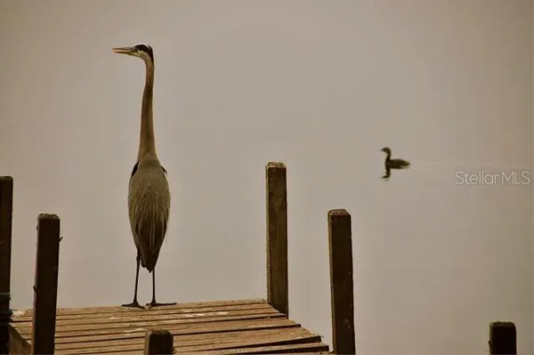 $2,900 | 348 Georgetown Drive, Unit 348, Casselberry, FL 32707