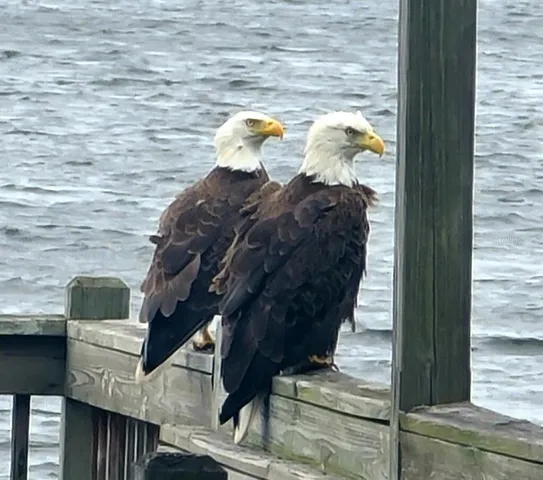 $2,900 | 348 Georgetown Drive, Unit 348, Casselberry, FL 32707